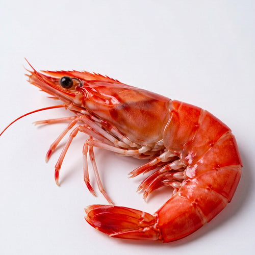 Red Prawns